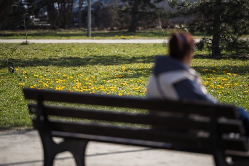 Spacerowicze we Wrocławiu