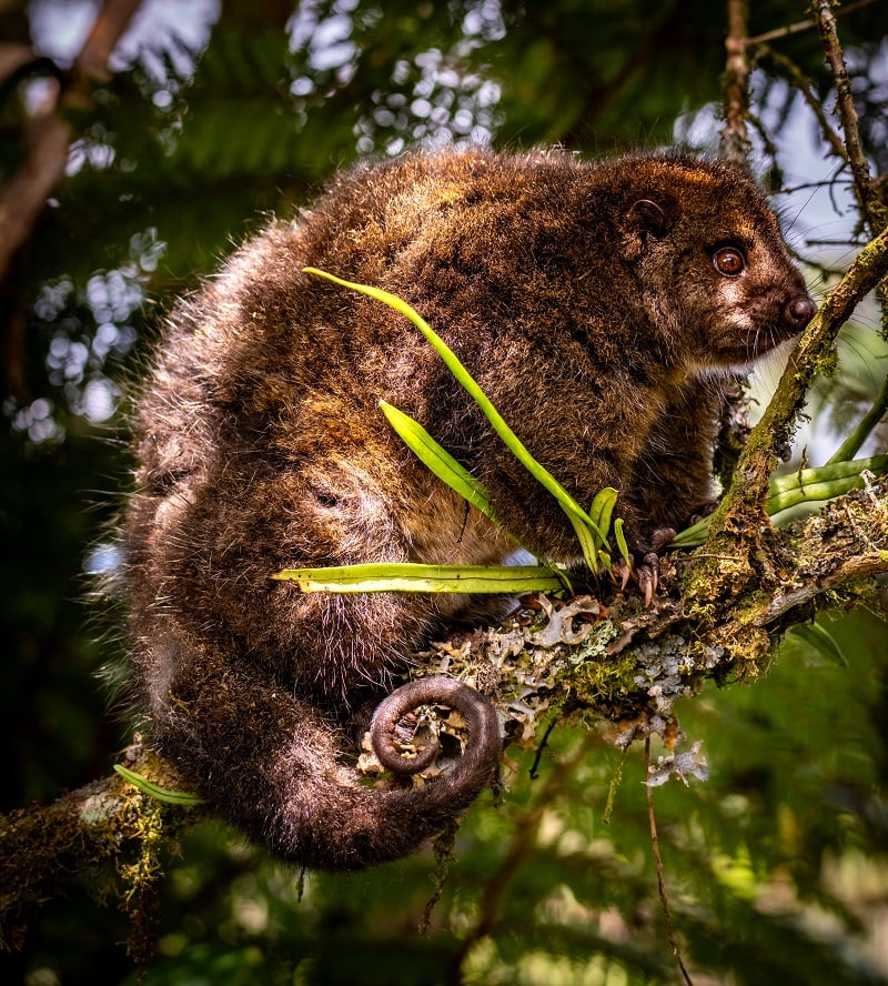 Jedno ze zdjęć, kt&oacute;re zobaczymy podczas festiwalu podr&oacute;żniczego R&oacute;wnoleżnik Zero
