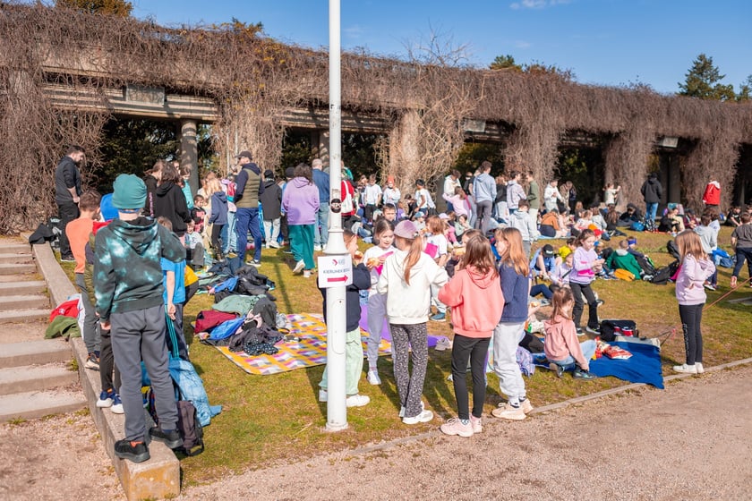 Wrocławski Bieg Sponsorowany 2025 wokół Pergoli