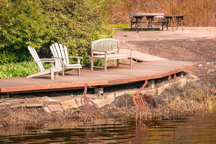 Ogr&oacute;d Botaniczny się zazielenia