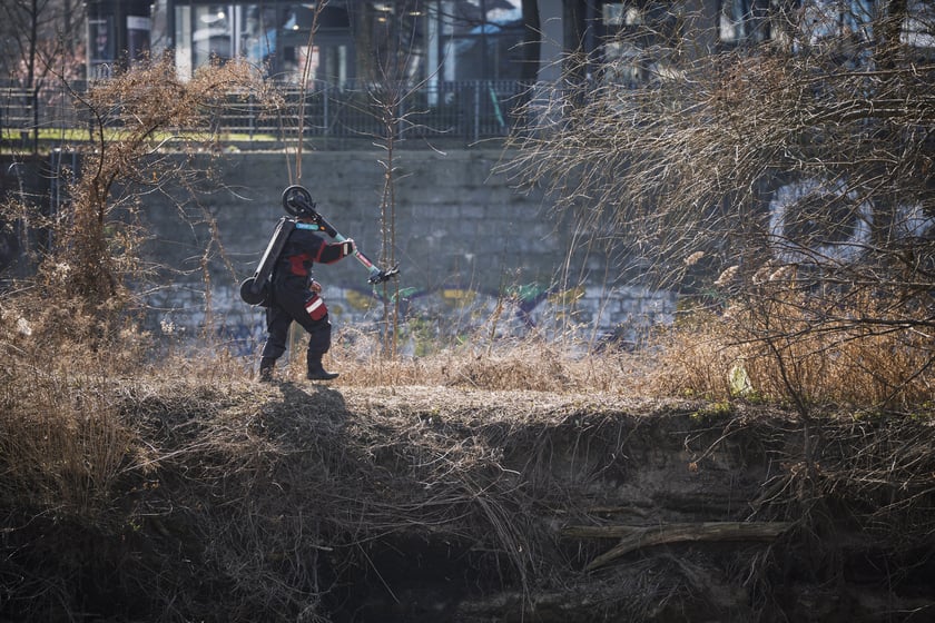 Posprzątali Odrę, teraz powstaną z tego dzieła sztuki. Ziściła się wrocłąwska część projektu SEKTOR 333