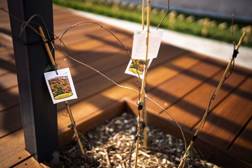 Podw&oacute;rko Wszystkich Mieszkańc&oacute;w po remoncie