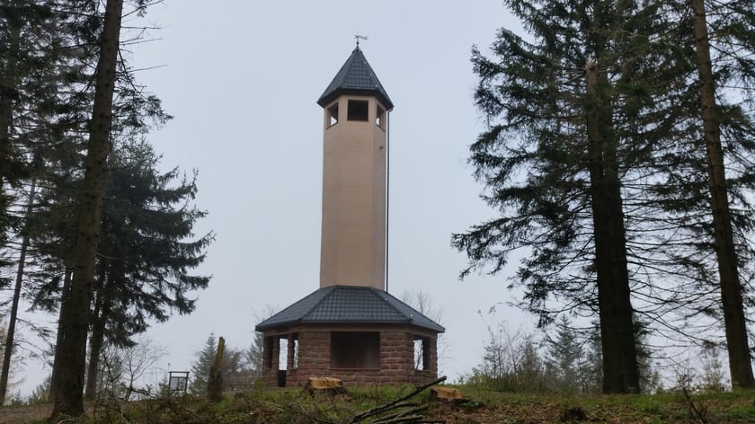 Odwiedź cztery niezwykłe wieże widokowe Wzgórz Włodzickich