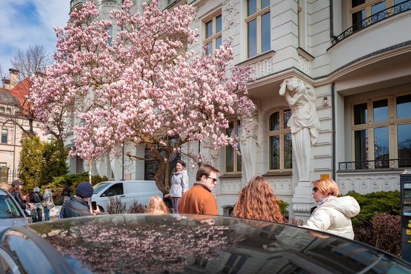 Wiosenne spacery po Wrocławiu