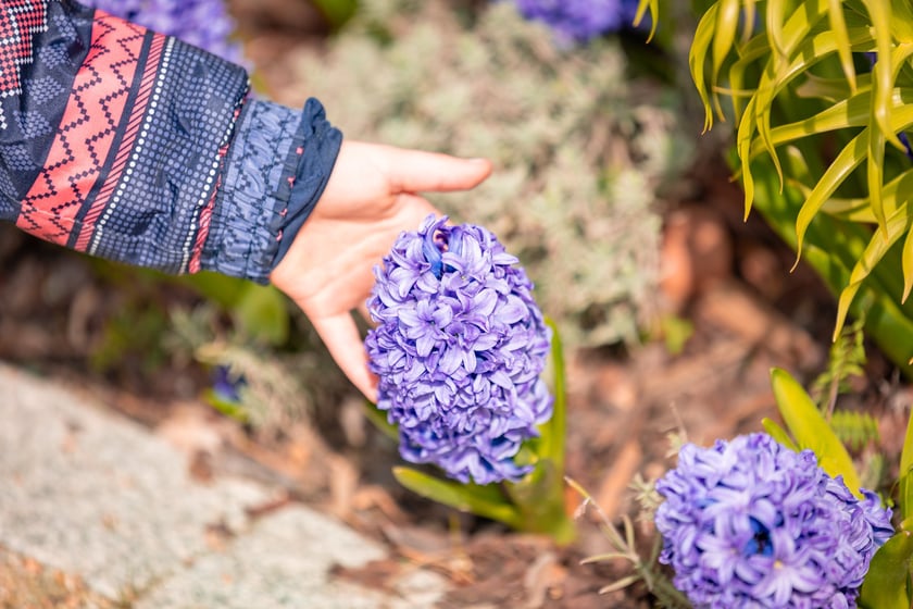 Wiosenne spacery po Wrocławiu