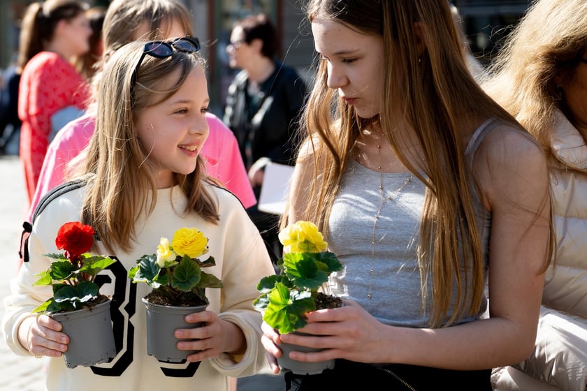 Inauguracja konkursu Ukwiecamy Wrocław w kolorach Wrocławia 2025 na rynku