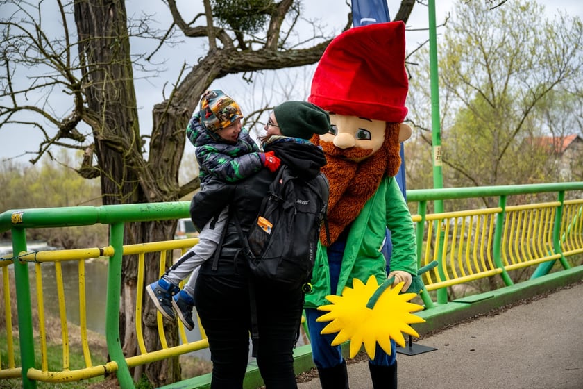 Odsłonięcie figurki krasnala Raciworka przy Kładce Złotnickiej