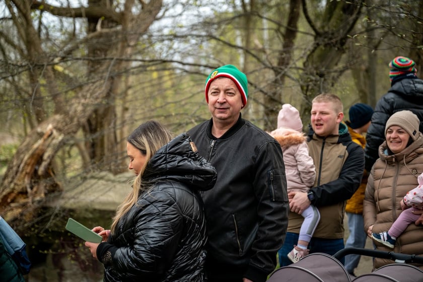 Odsłonięcie figurki krasnala Raciworka przy Kładce Złotnickiej