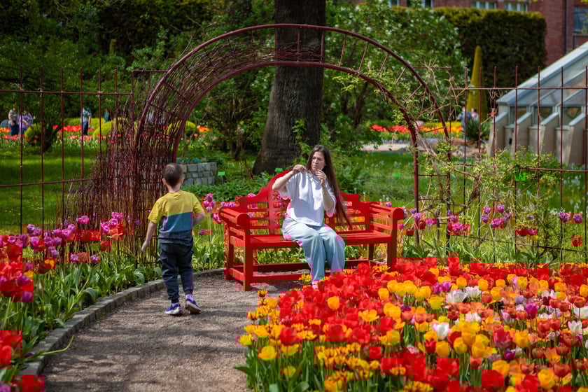 W Ogrodzie Botanicznym UWr 21 kwietnia 2025 roku