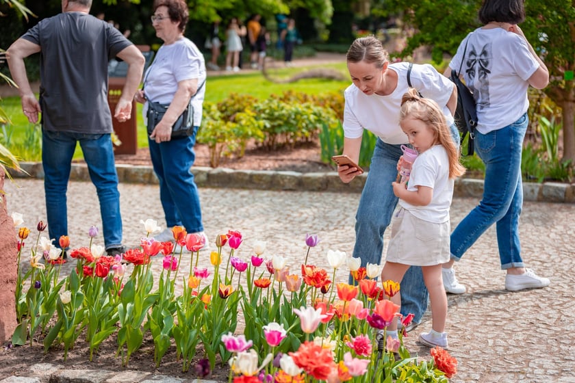 W Ogrodzie Botanicznym UWr 21 kwietnia 2025 roku