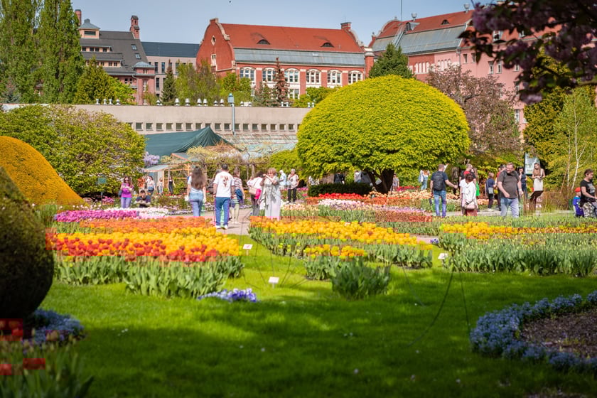 W Ogrodzie Botanicznym UWr 21 kwietnia 2025 roku
