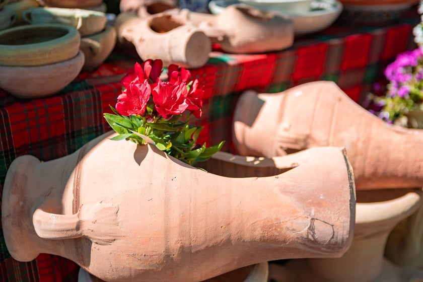 Kiermasz ogrodniczy na Partynicach - 26.04.2025