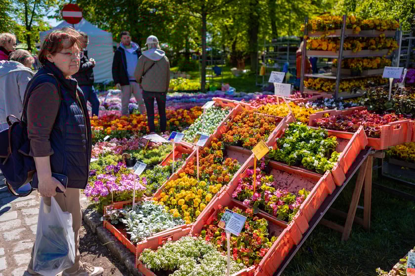Kiermasz ogrodniczy na Partynicach - 26.04.2025