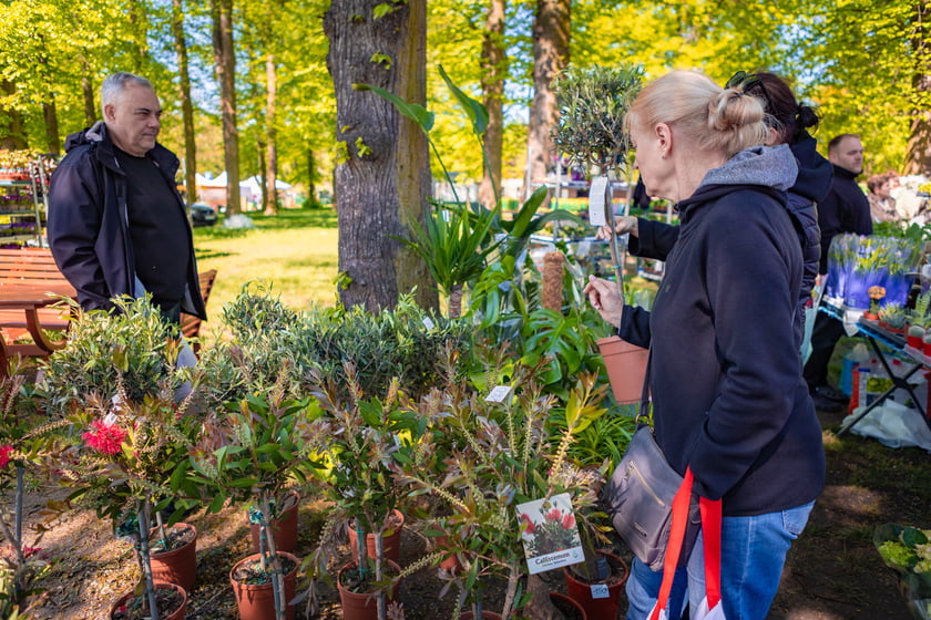 Kiermasz ogrodniczy na Partynicach - 26.04.2025