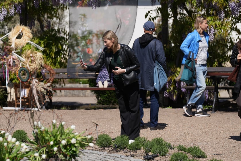 Festiwal tulipanów w Ogrodzie Botanicznym - 26.04.2025