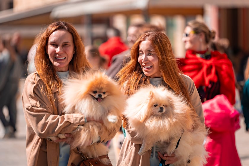 Niedzielny spacer po Wrocławiu - 27.04.2025