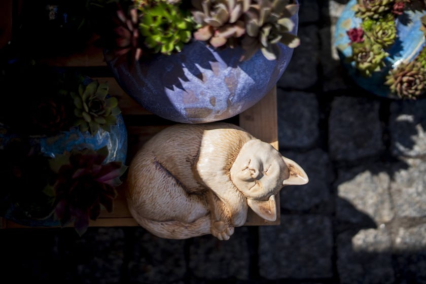 Ręki Dzieła Fest na Solnym, 4 maja 2025 roku