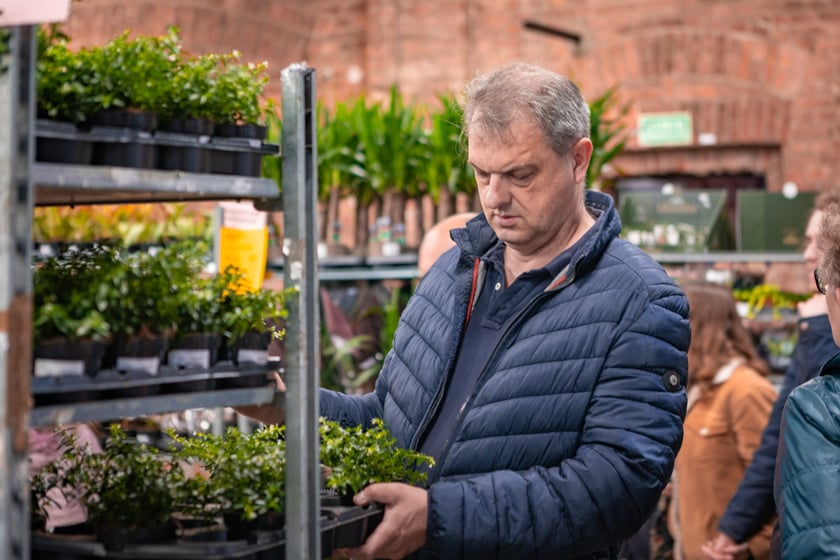 Festiwal Roślin w Czasoprzestrzeni we Wrocławiu