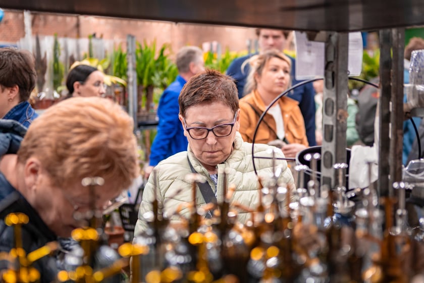 Festiwal Roślin w Czasoprzestrzeni we Wrocławiu