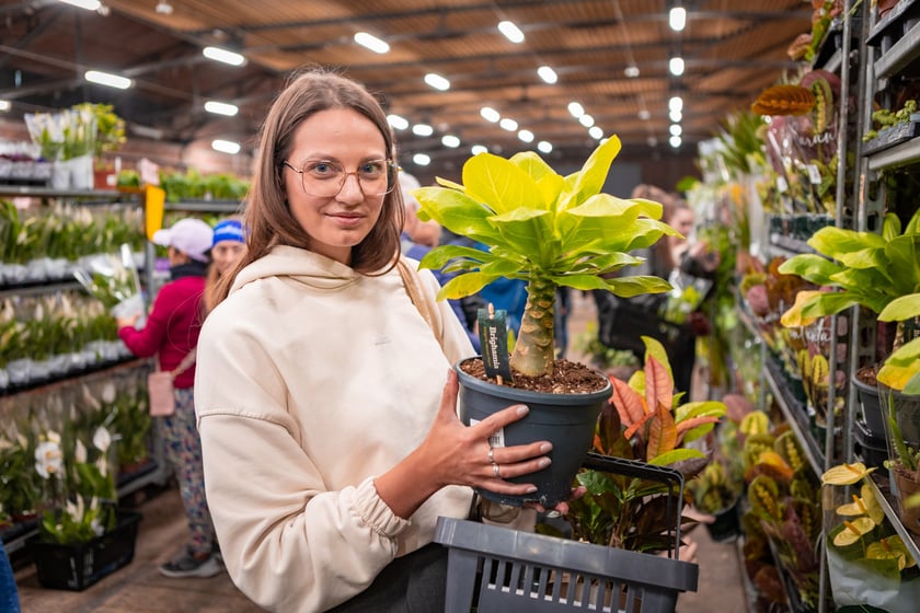 Festiwal Roślin w Czasoprzestrzeni we Wrocławiu