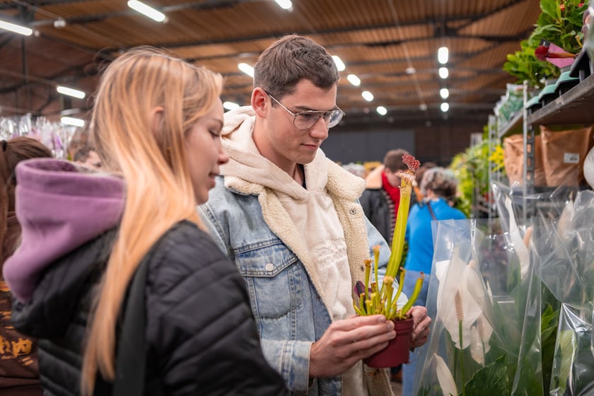 Festiwal Roślin w Czasoprzestrzeni we Wrocławiu