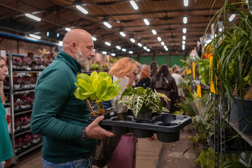 Festiwal Roślin w Czasoprzestrzeni we Wrocławiu