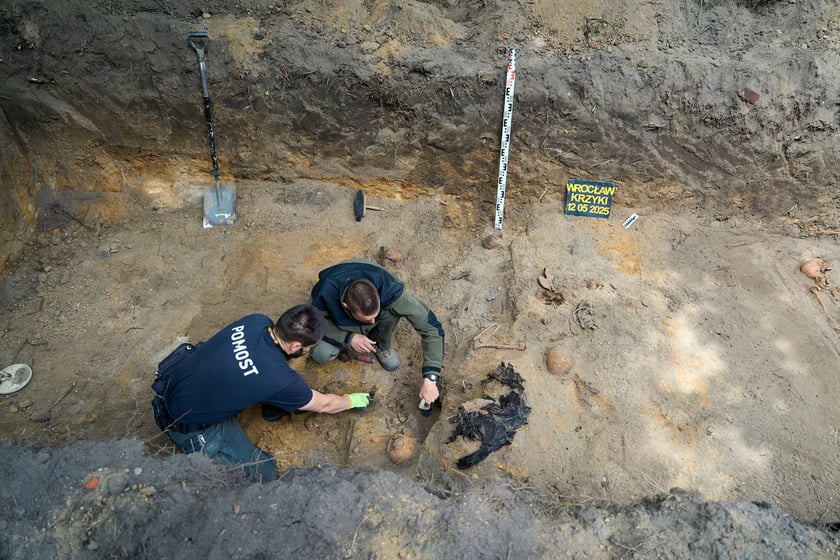 Prace archeologiczne specjalistów z Pracowni POMOST na cmenatrzu na Krzykach