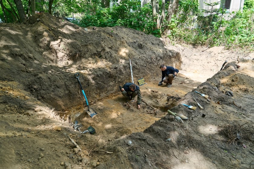 Prace archeologiczne specjalistów z Pracowni POMOST na cmenatrzu na Krzykach