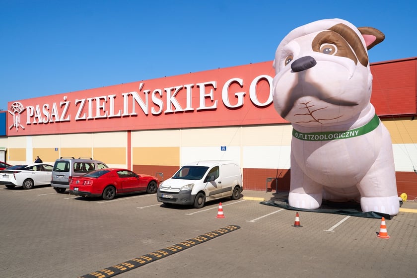 Kupcy i usługodawcy w Pasażu Zielińskiego we Wrocławiu