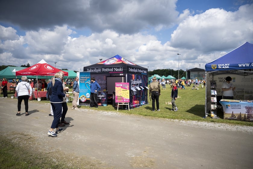 Przewietrz się na Olimpijskim z AWF Wrocław. VII Festyn Sportowo-Rekreacyjny [ZDJĘCIA]