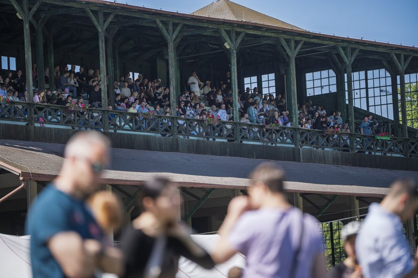 3. dzień wyścigowy na Partynicach - 25.05.2025