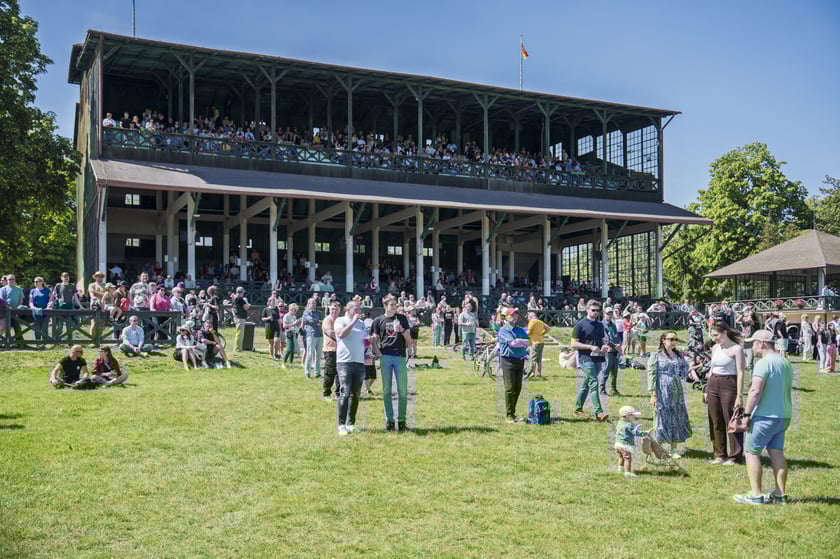 3. dzień wyścigowy na Partynicach - 25.05.2025