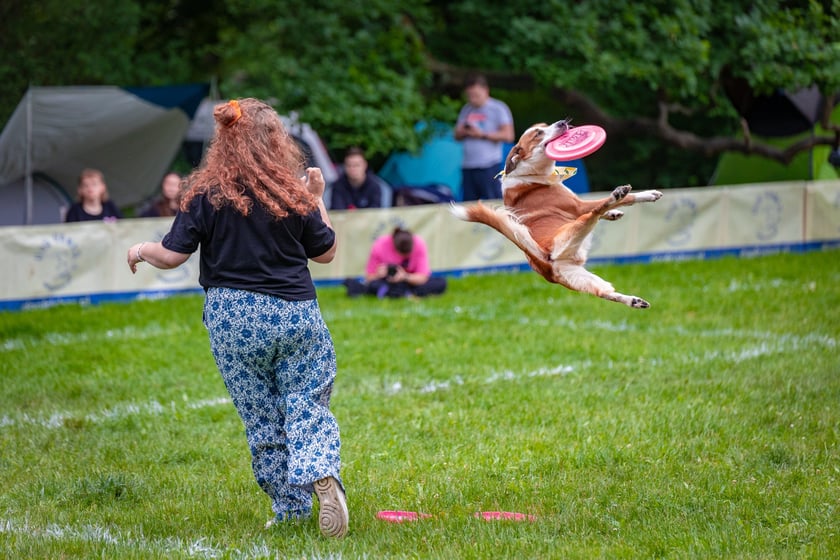 Mistrzostwa Polski Dogfrisbee 2025 - latające psy w parku Południowym