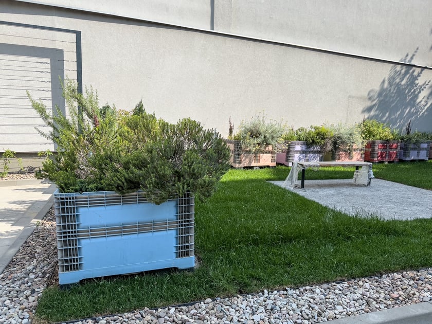 Ogr&oacute;d Społeczny, czyli nasadzenia w skrzyniach