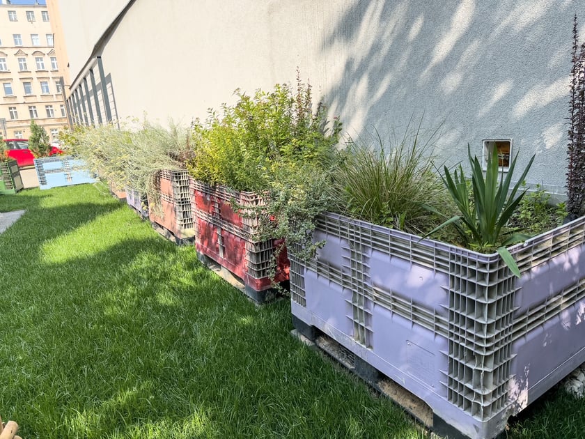 Ogr&oacute;d Społeczny odżył po rewitalizacji podw&oacute;rza