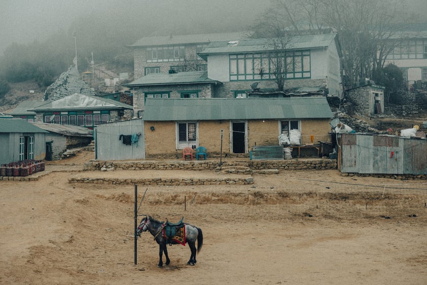 Wyprawa Mateusza Waligóry rowerem, pieszo i wspinając się na Mount Everest