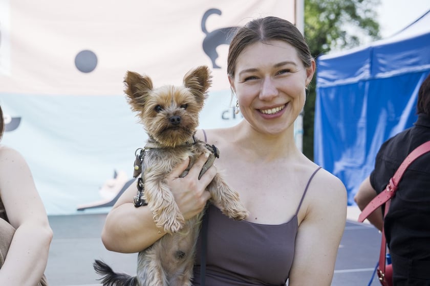Wielki Piknik Charytatywny Grupy Ratuj w parku Grabiszyńskim