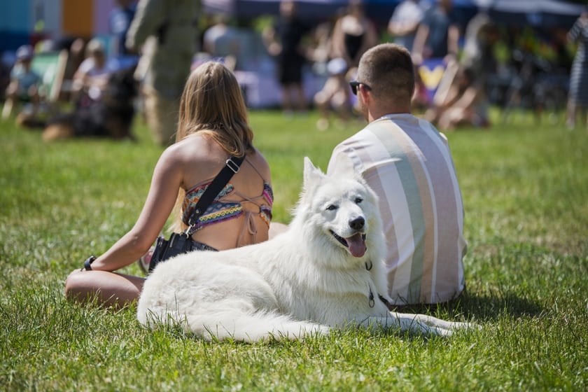 Wielki Piknik Charytatywny Grupy Ratuj w parku Grabiszyńskim