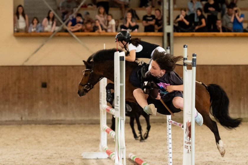 Atrakcje na Family Day na Partynicach, pokaz potęgi skoku - jeźdźcy vs hobby horse, zdjęcie ilustracyjne