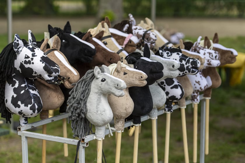 Atrakcje na Family Day na Partynicach, zdjęcie ilustracyjne