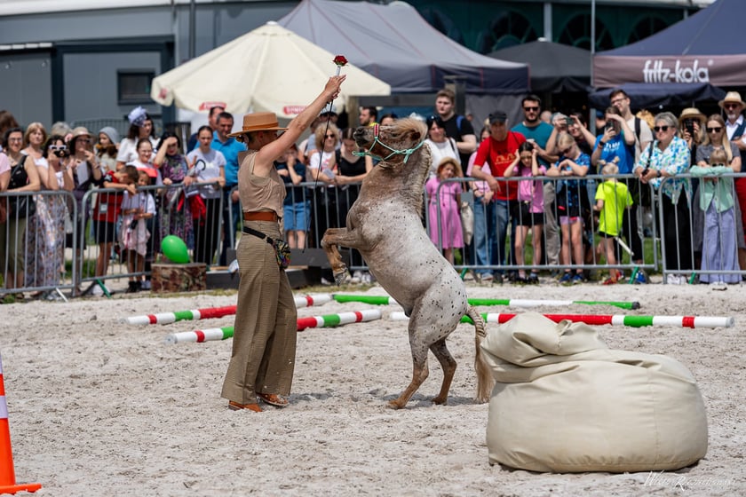 Atrakcje na Family Day na Partynicach, zdjęcie ilustracyjne