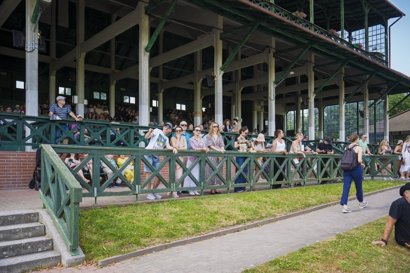 Vertigo Day na Partynicach, 29 czerwca 2025