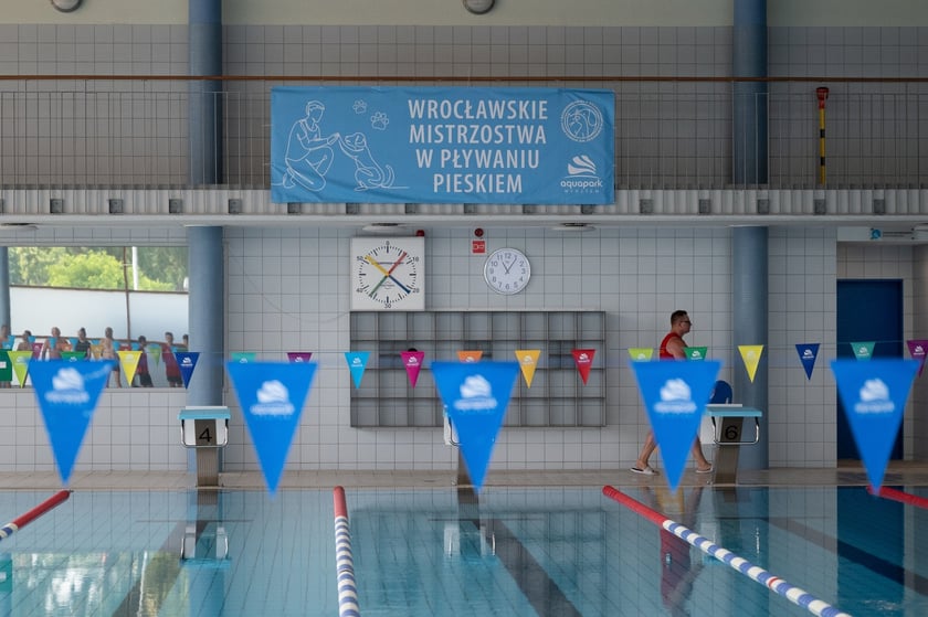 III. Wrocławskie Mistrzostwa w Pływaniu Pieskiem we wrocławskim Aquaparku, 3 lipca 2025