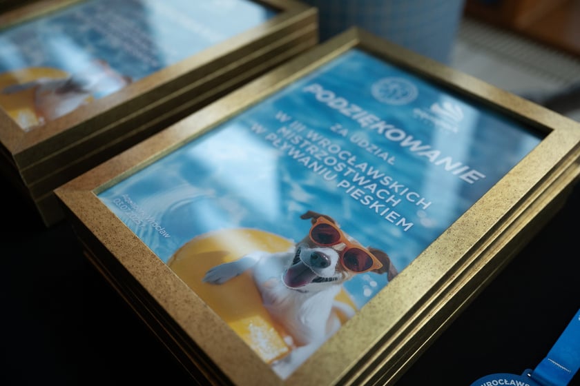 III. Wrocławskie Mistrzostwa w Pływaniu Pieskiem we wrocławskim Aquaparku, 3 lipca 2025