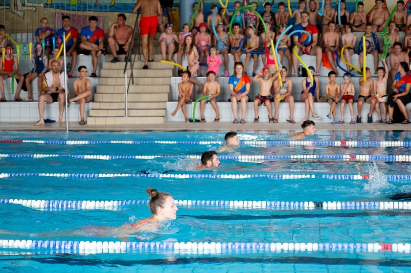 III. Wrocławskie Mistrzostwa w Pływaniu Pieskiem we wrocławskim Aquaparku, 3 lipca 2025