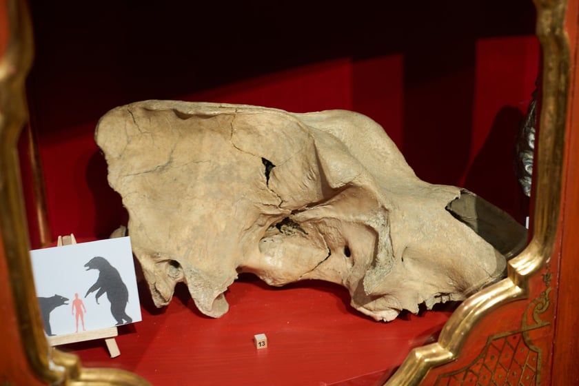 Wrocławianie zwiedzali Zamek Książ z kartą Nasz Wrocław