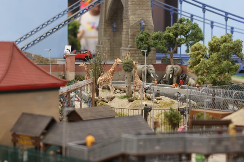 Miniaturowe ZOO w Kolejkowie