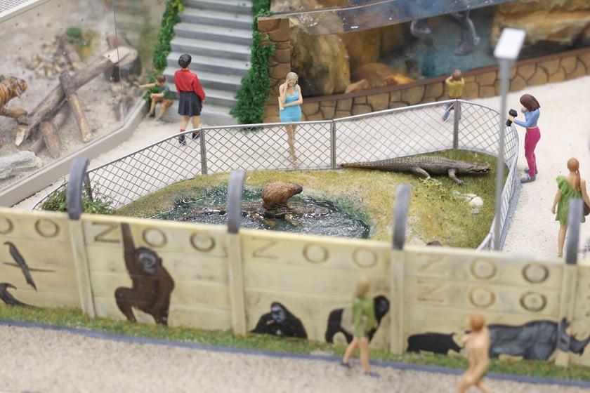 Miniaturowe ZOO w Kolejkowie