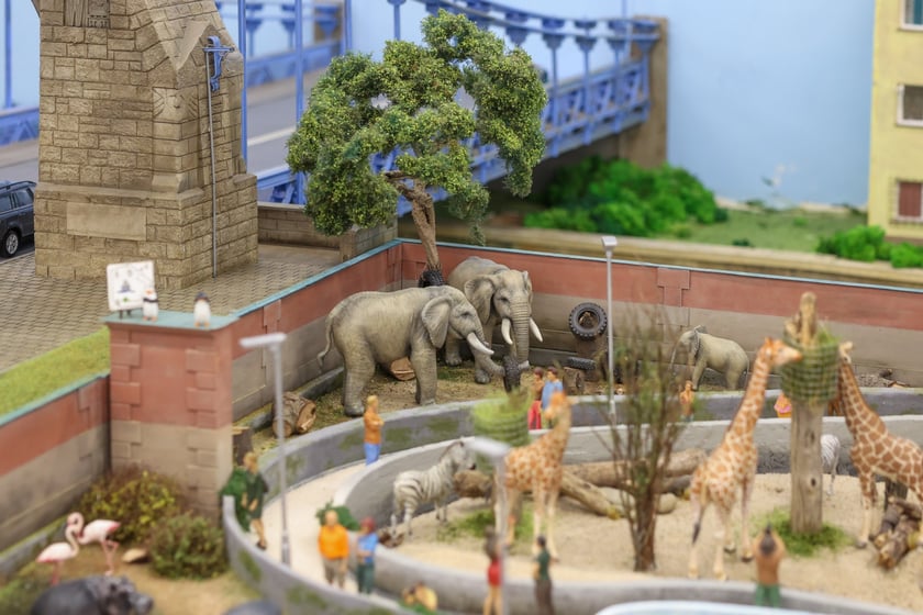 Miniaturowe ZOO w Kolejkowie