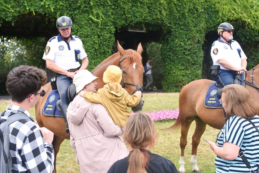 Piknik z Policją na Pergoli - 13.07.2025